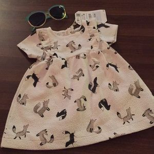 Brand new Zara dress! NWT 3/6 months